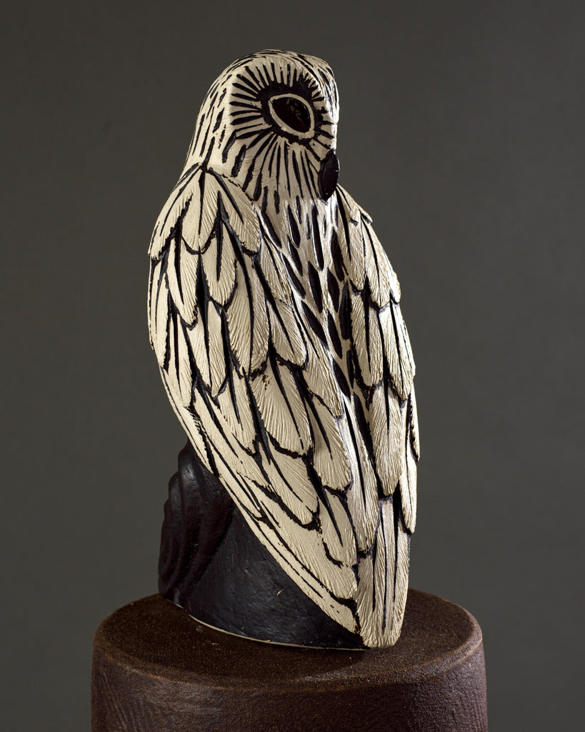 Snowy Bantam Owl